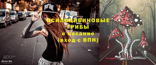 МДПВ Нея