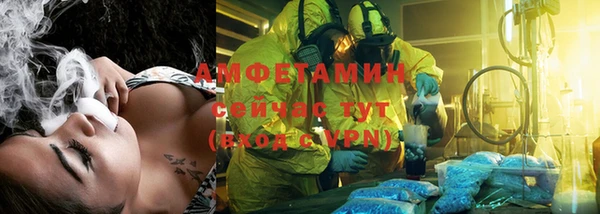 МДПВ Нея