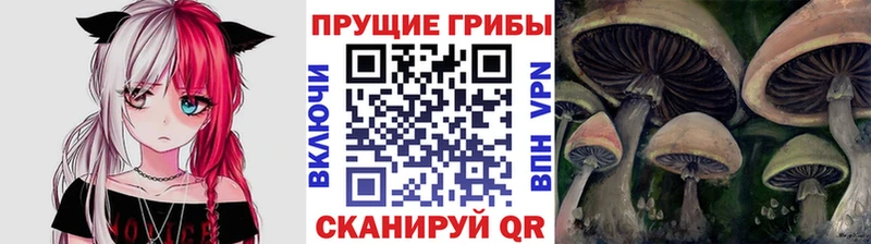 закладки Кадников Галлюциногенные грибы Magic Shrooms