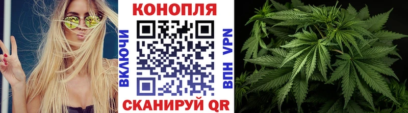 Каннабис тримм  Кадников 